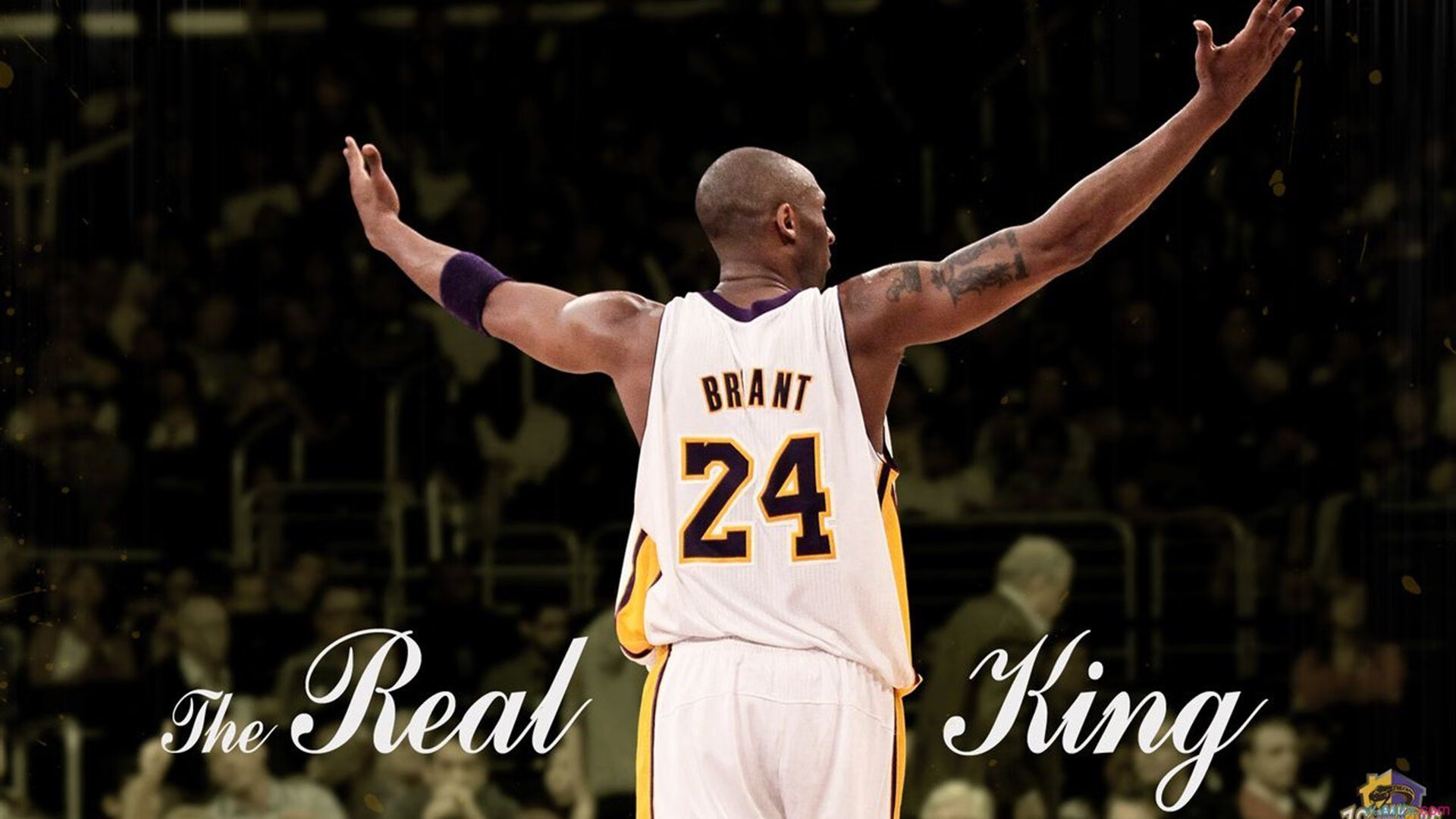 NBA两队新秀异军突起 联盟格局或将重塑，nba新秀阵容